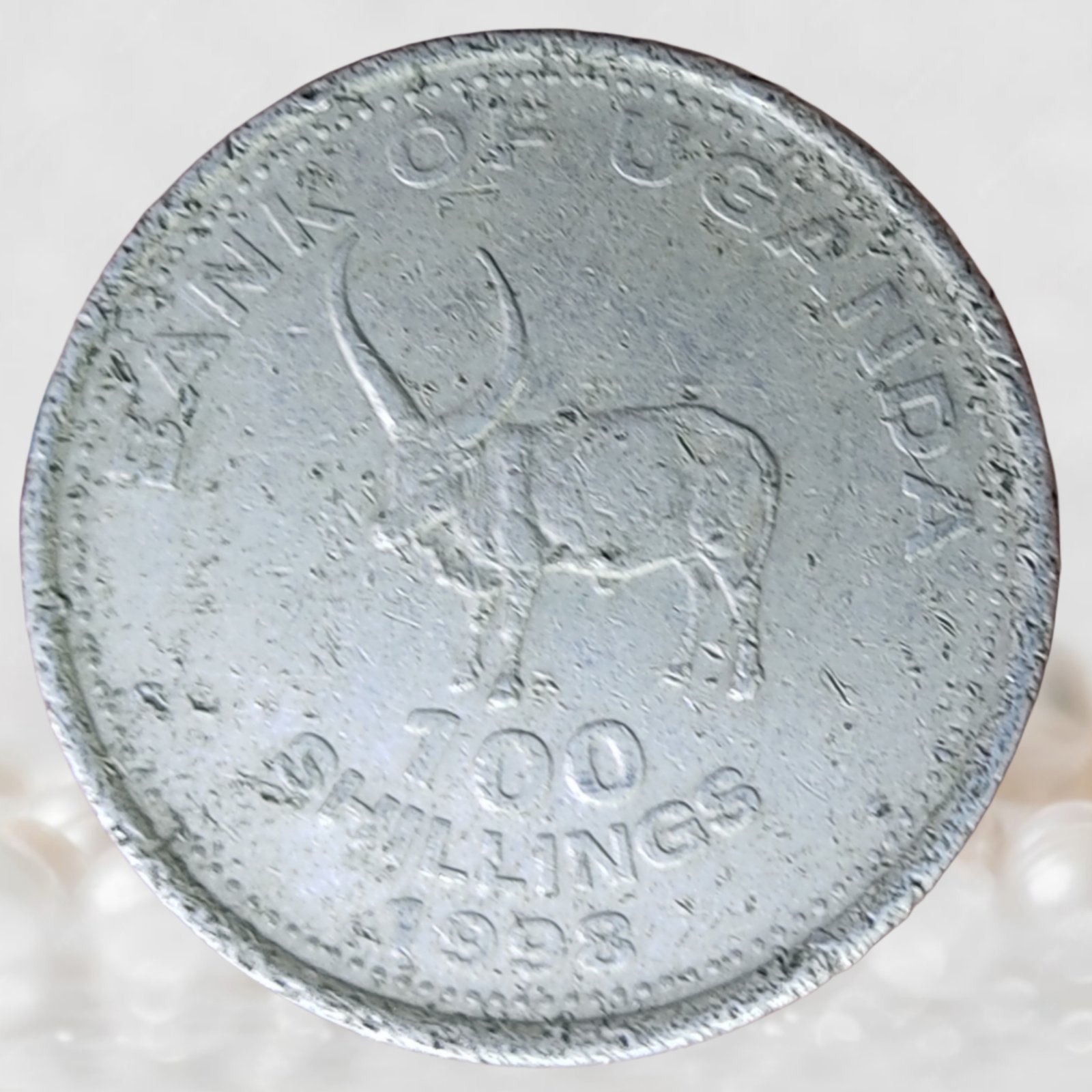 Picsart_26-02-21_22-42-33-487