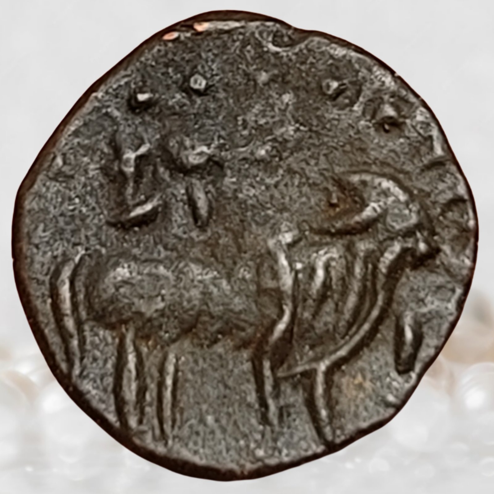 Pallavas of Kanchi Fractional Issue Bronze Unit Coin Chakra Type (1)