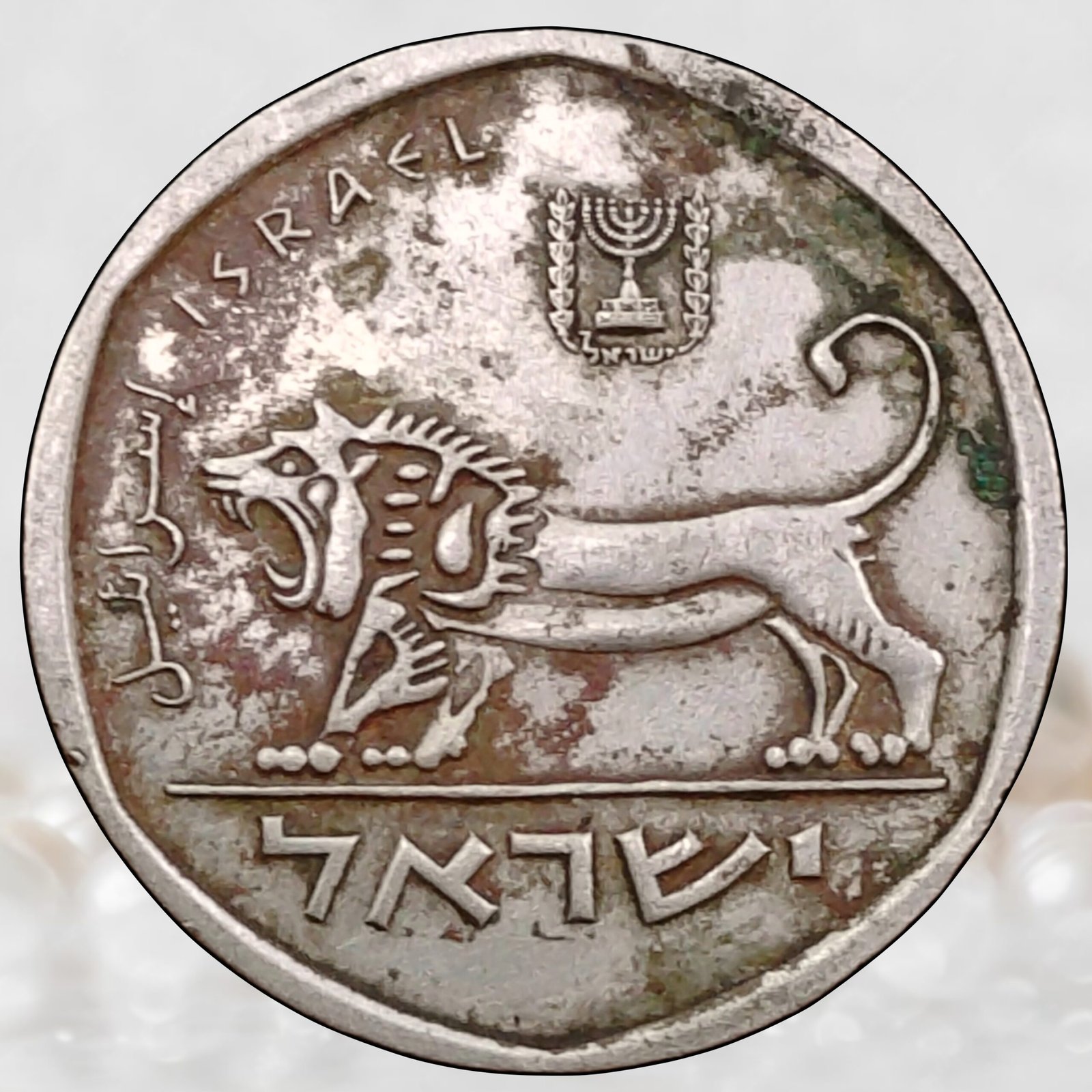 Israel State ½ Sheqel Coin Copper-Nickel Collectible (1)