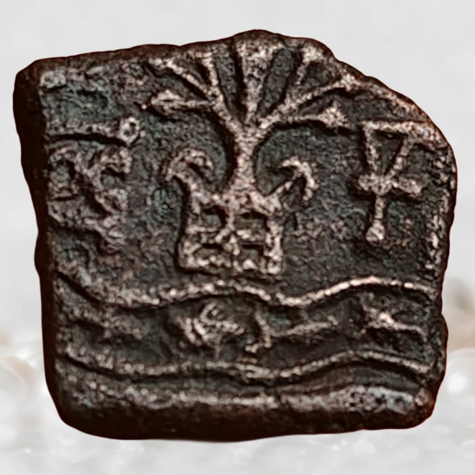 Eran–Vidisha Region Copper Fractional Unit (Punch-Marked Type) (1)