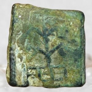 Eran–Vidisha Region Copper Fractional Unit (Punch-Marked Type)
