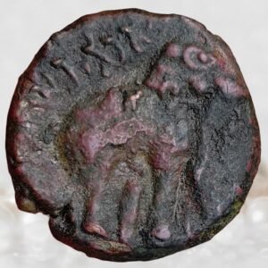Gautamiputra Yajna Sri Satakarni - Satavahana Dynasty 1 Karshapana Rare Ancient India Andhra Region Coin