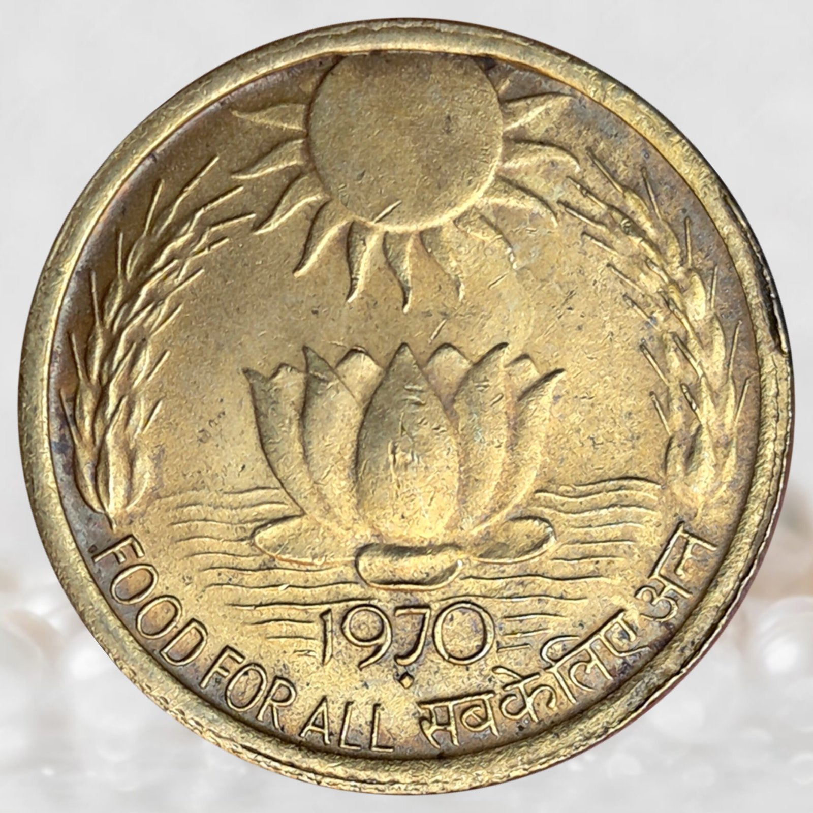 20 Paise FAO - Republic of India Commemorative Issue Aluminium Bronze Collectable Grade Coin (1)